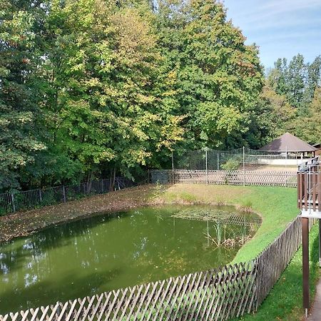 Ferienwohnung Teichblick Freiberg Kültér fotó